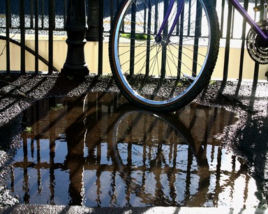  Taken on Ponsonsonby Rd